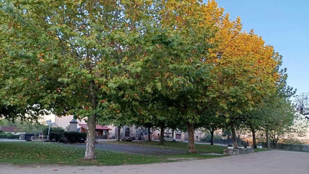 Place de Montsalès